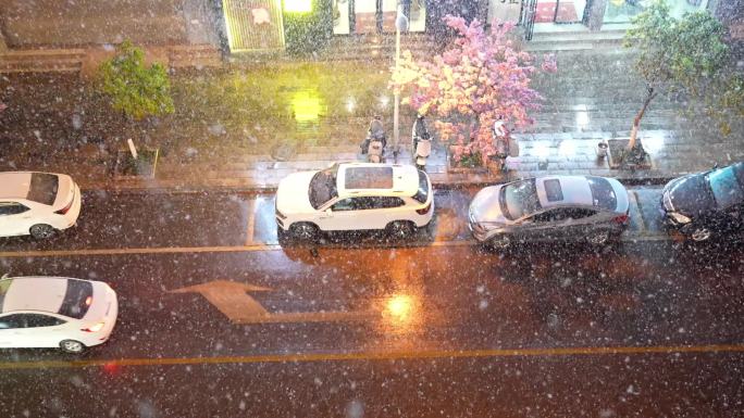 车流樱花雪景