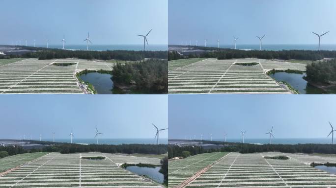 航拍农村农场农田和风力发电风车