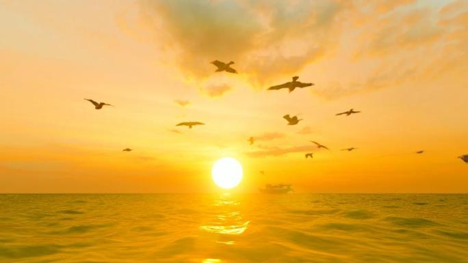 落日余晖下自由飞翔的海鸥
