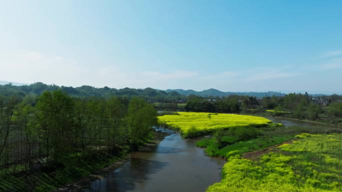 春天的田野油菜花盛开蓝天小溪流水美丽风景