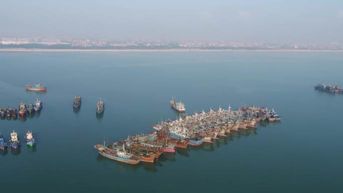L福建泉州晋江渔港捕鱼船停泊港口