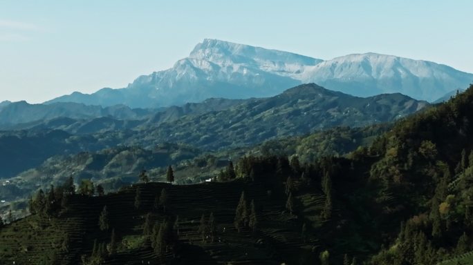 峨眉山金顶下绿茶基地航拍山村春季风景