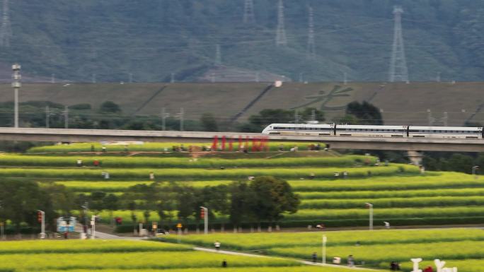 深圳光明区油菜花高铁航拍