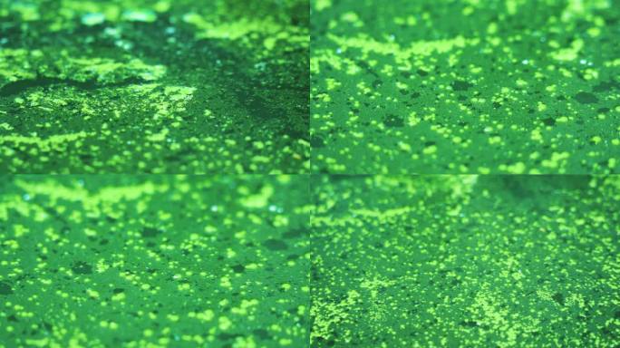 一滩发绿的死水丨4K丨原创实拍