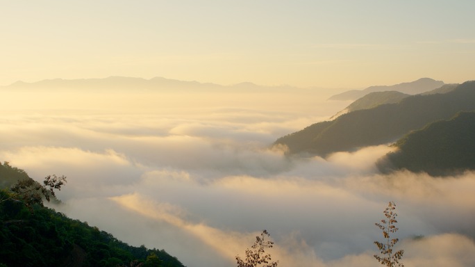 大自然 原始森林 春天 小溪山泉 云雾