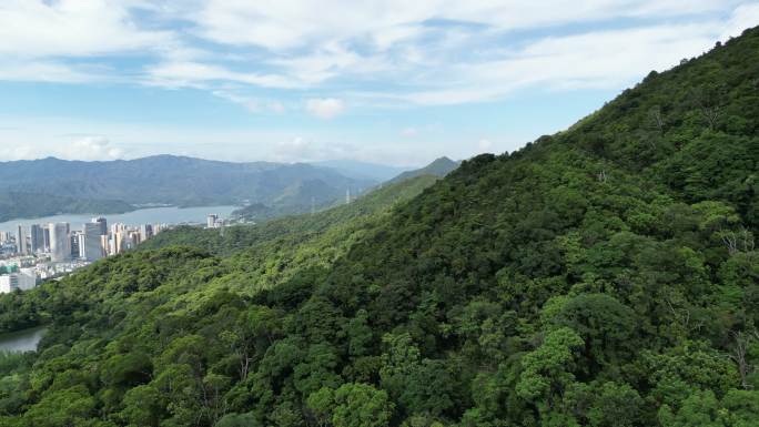 深圳 盐田港 梧桐山 沙头角 盐田航拍