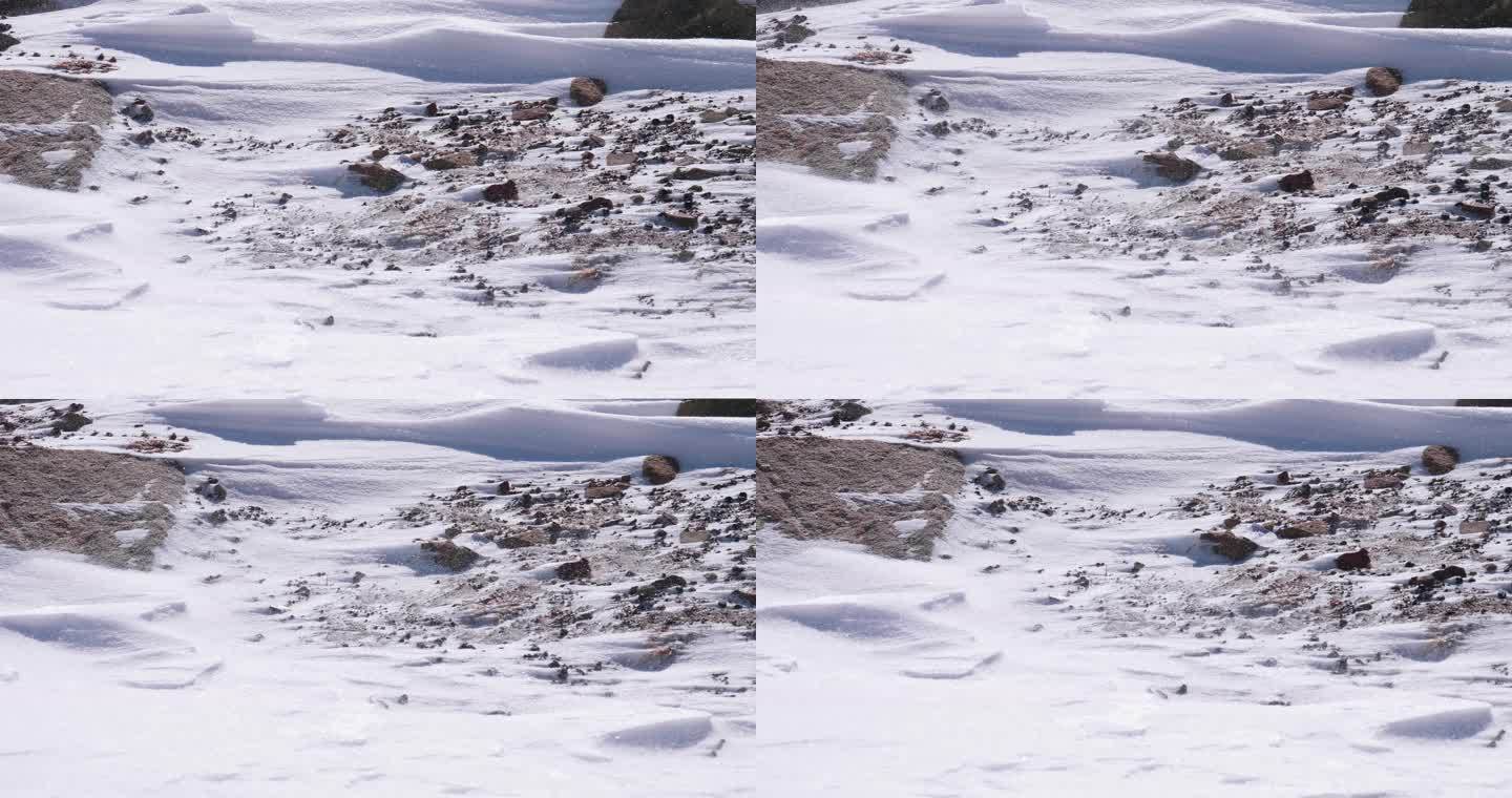 狂风吹过的雪地