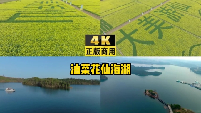 油菜花仙海湖4K航拍