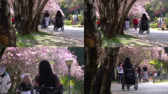 公园里坐轮椅赏花的少女