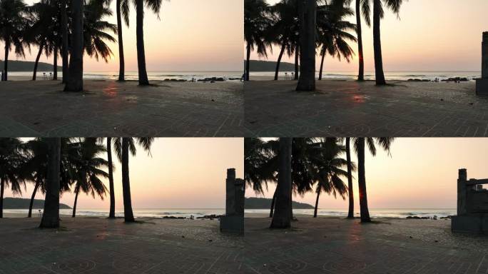 日出海边椰树