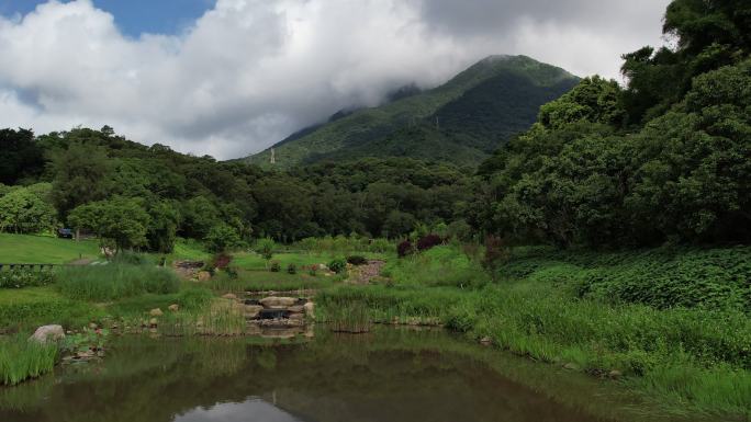 深圳 香港 沙头角 自然风光 梧桐山