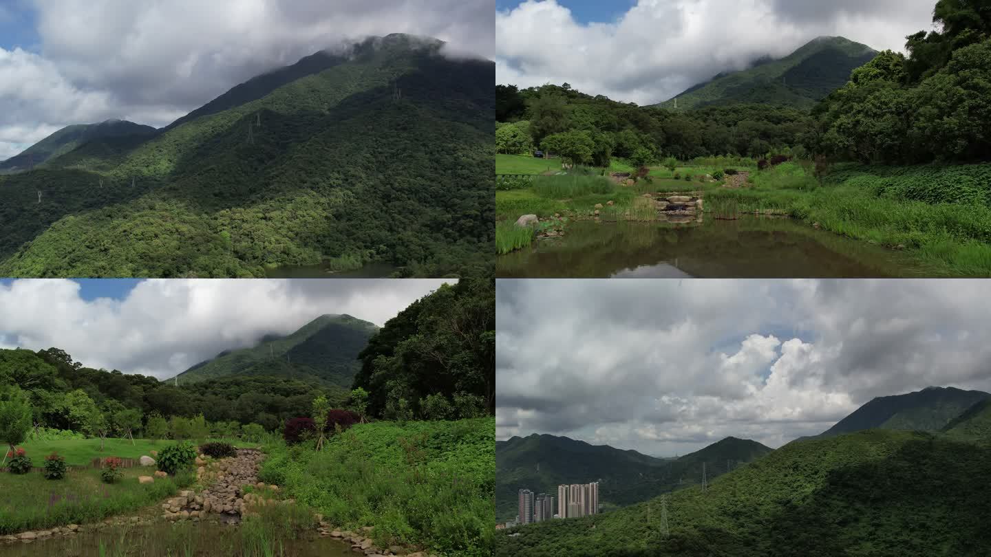 深圳 香港 沙头角 自然风光 梧桐山