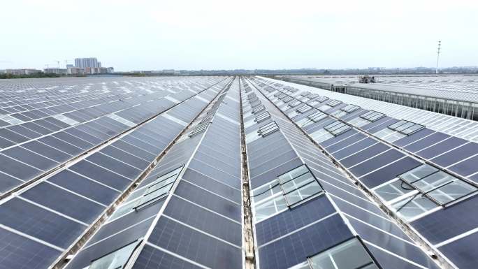现代农业大棚楼顶太阳能光伏分布式发电站