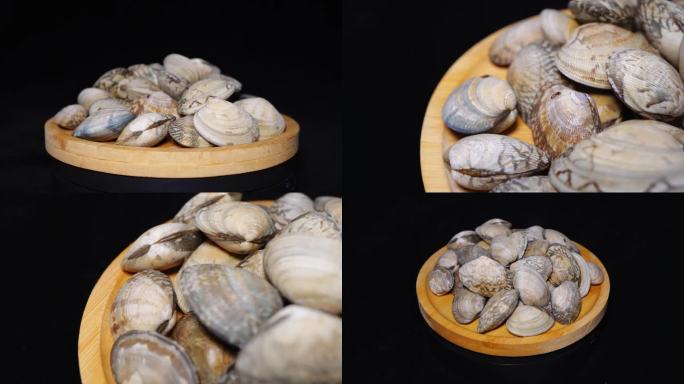 镜头合集小海鲜蛤蜊贝壳花蛤蚬子3
