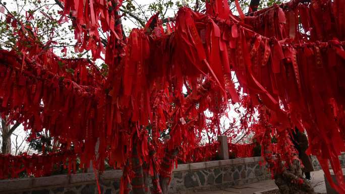 寺庙寺院祈福祈愿的红飘带和许愿树实拍素材