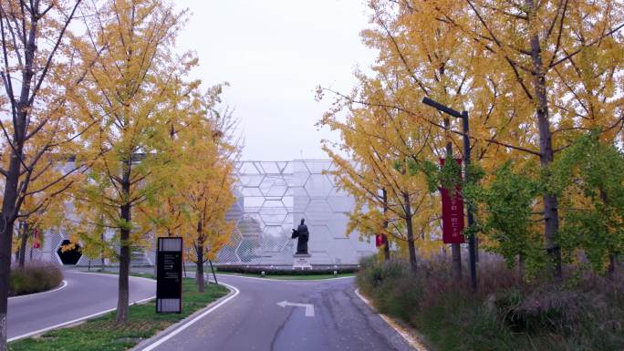 东阿阿胶世界道路陶弘景