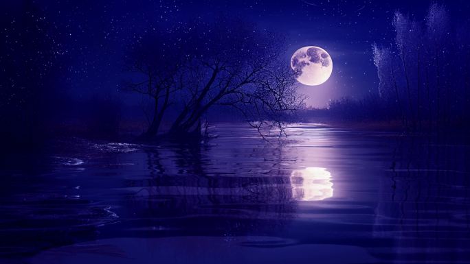 海上月光皎洁的月光