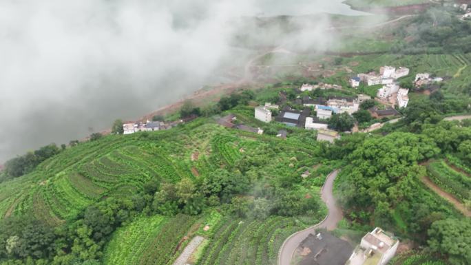 航拍白鹤滩水电站库区湖光山色4K