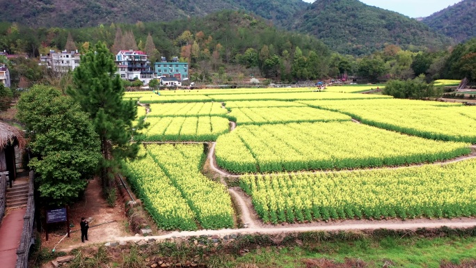 浙江天台的国清寺