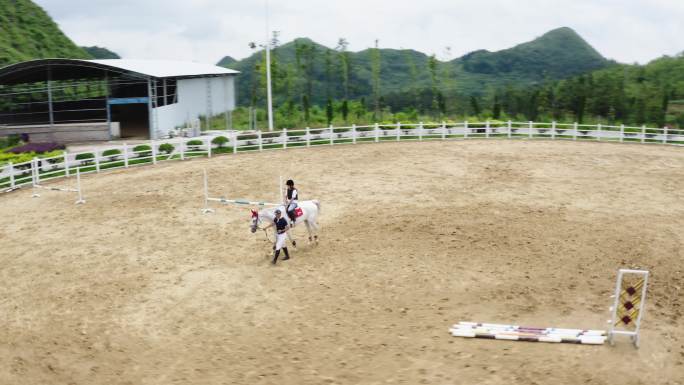 女生学骑马 骑马 马术场 马场 体验骑马