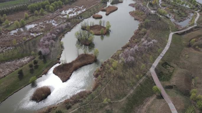 西咸新区沣东镐京大桥沣河生态湿地公园2