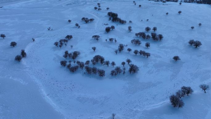 航拍雪原树林风景