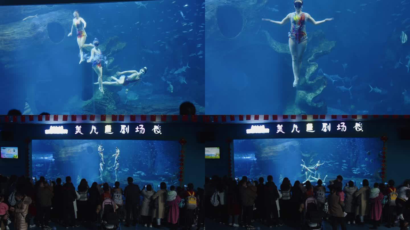 美人鱼表演海洋馆海洋生物围观观众