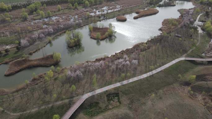西咸新区沣东镐京大桥沣河生态湿地公园3