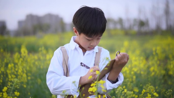 油菜花 男童 男童记录 儿童画画