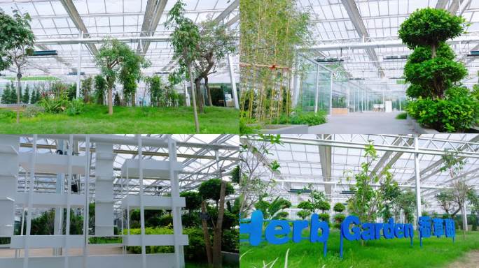 现代温室大棚植物园