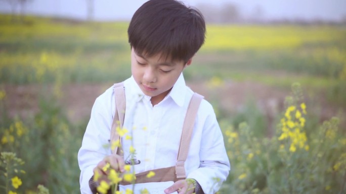 油菜花 男童 男童记录 儿童画画