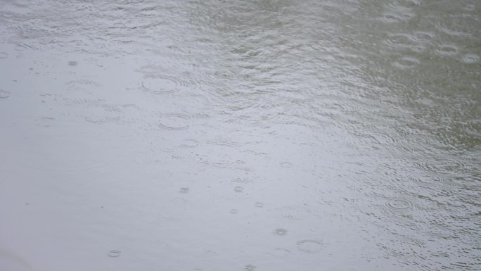 雨天 小雨 小池塘 空镜 意境