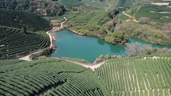 杭州龙坞茶园 光明寺水库 茶山