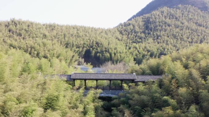 常州溧阳南山竹海航拍春季风光4K高清素材