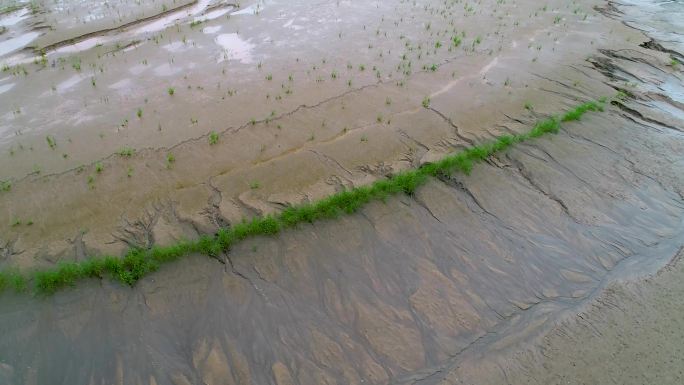 江苏南通如东小洋口湿地旅游度假区