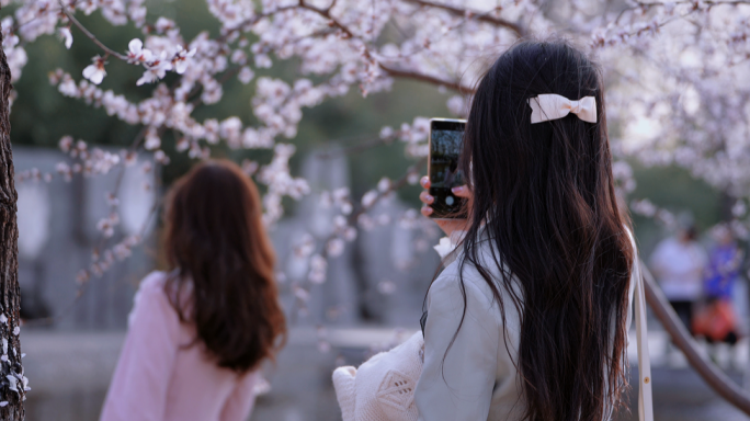 春天春分公园踏青春游郊游踏春赏花桃花