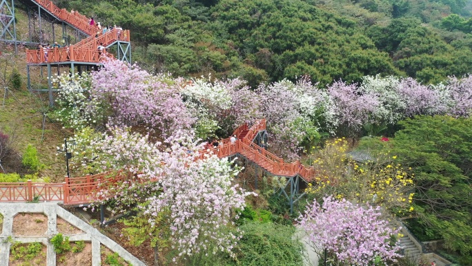 深圳市景观公园