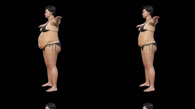 侧面变瘦减肥女性3D人物瘦肚子带通道