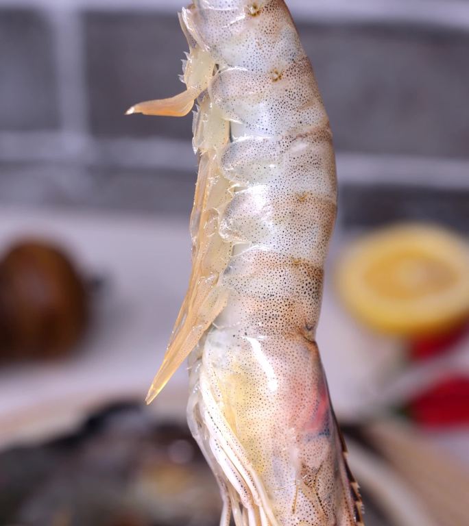 大海虾  海鲜 水产 虾