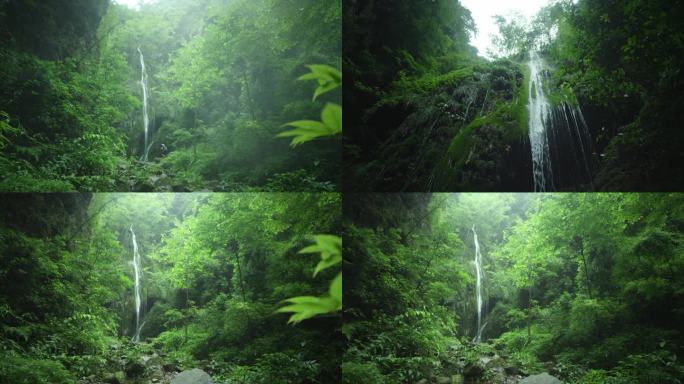 森林瀑布1