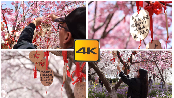 【可商用】樱花树下许愿树 挂许愿牌