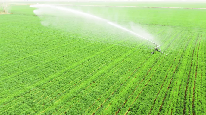 4K航拍 农场 农田喷灌 灌溉 浇地