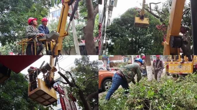 长臂车升降车砍树木警告灯街道树木修剪园林