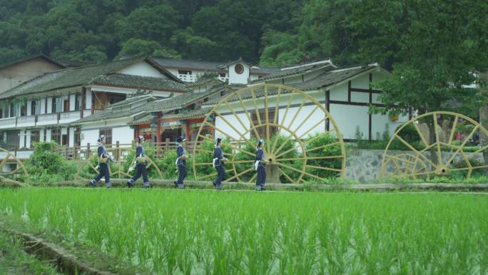 布依族女孩田野中行走