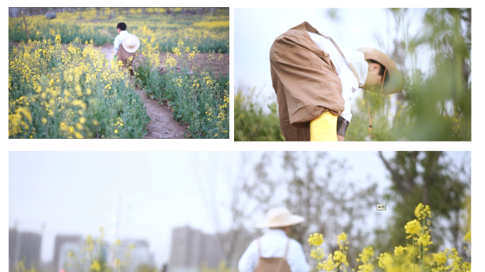 油菜花 男童 男童油菜花 小孩 油菜花