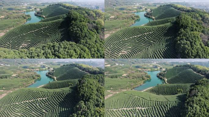 杭州龙坞茶园 光明寺水库 茶山