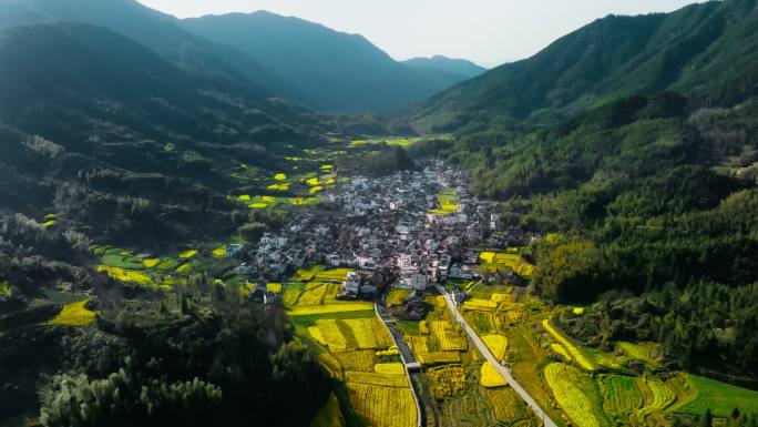 江岭梯田 峡谷村寨 油菜花田 航拍