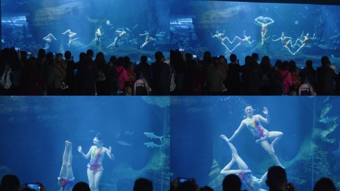 海洋馆美人鱼表演花样表演围观观众