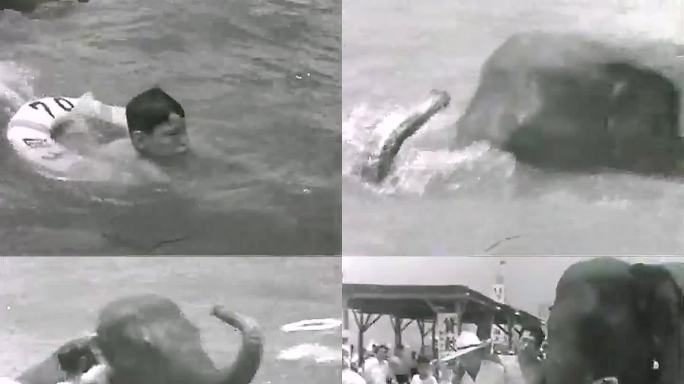 1957年日本 大象担任救生员