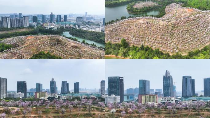 深圳平湖生态城市建设片头地产